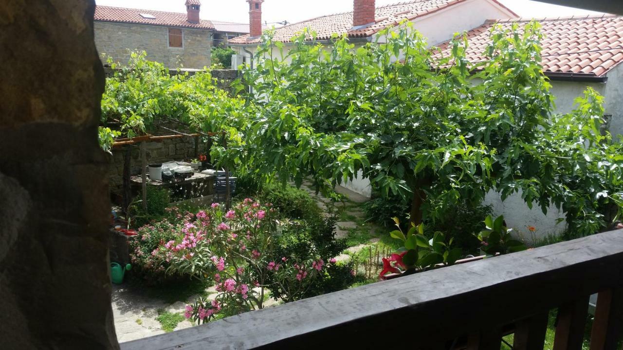 Labor Istrska Hiska Villa Marezige Exterior foto